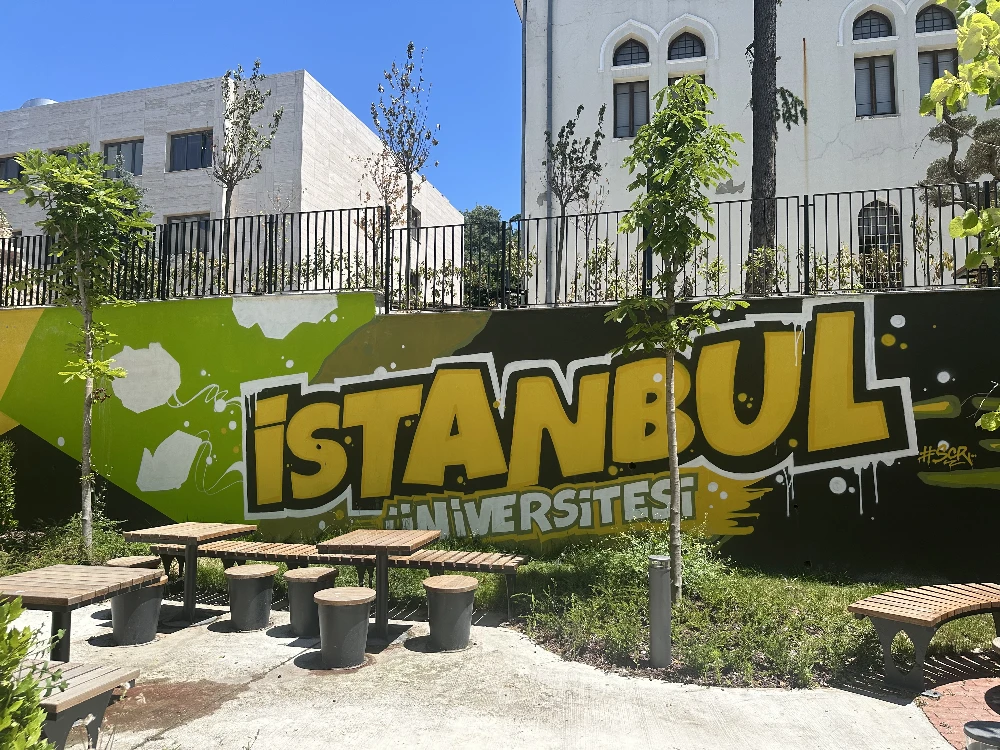 Istanbul University wall art