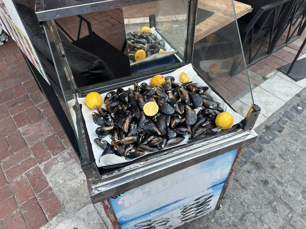 Mussels