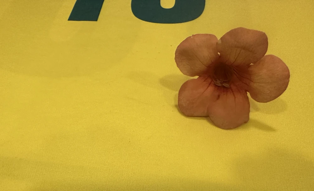 Pele and flower